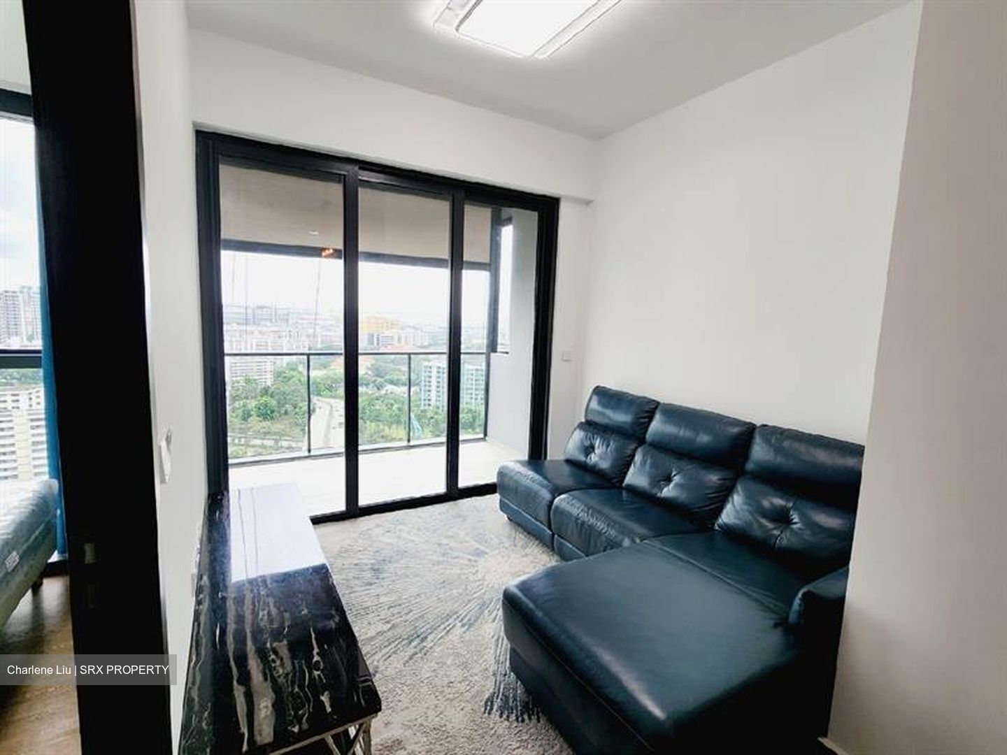 Parc Clematis (D5), Apartment #632280001